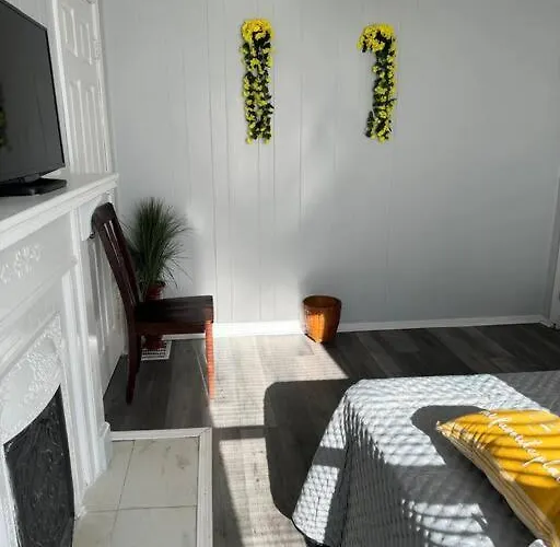 Zen/peaceful Retreat/pittsburgh/canton Avenue *