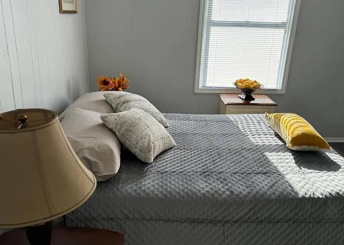 Apartment Zen/peaceful Retreat/pittsburgh/canton Avenue *